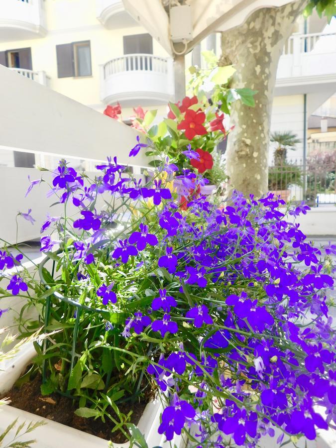 Hotel Dolores Rimini Eksteriør bilde